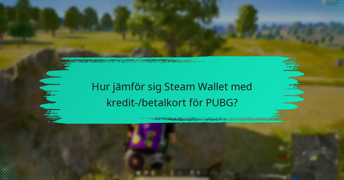 Vilka är nackdelarna med att använda Steam Wallet för PUBG?