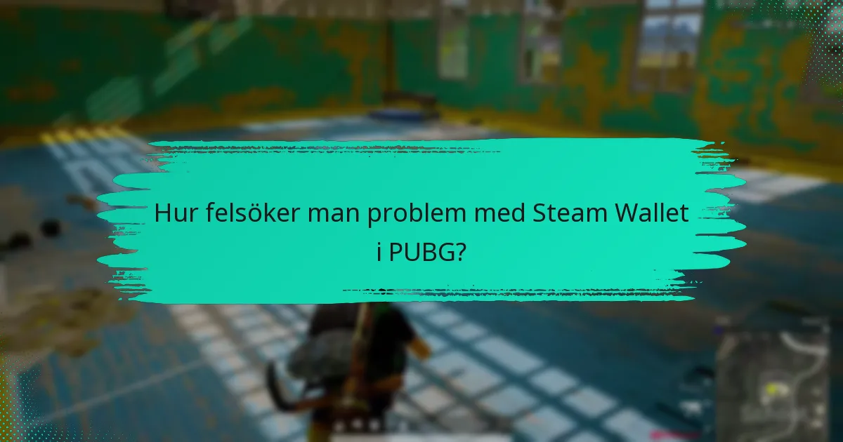 Hur felsöker man problem med Steam Wallet i PUBG?