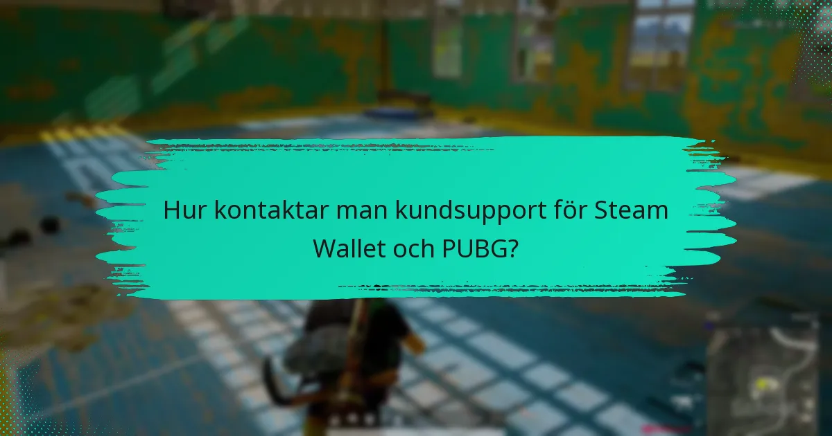 Hur kontaktar man kundsupport för Steam Wallet och PUBG?