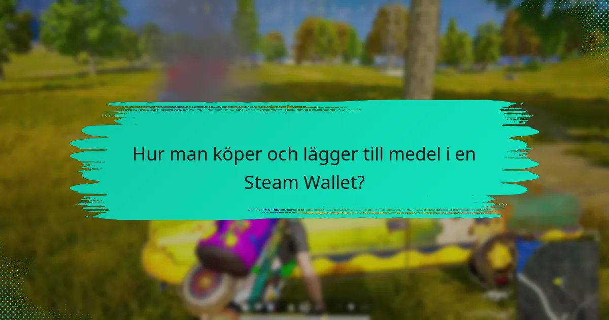 Hur fungerar tidig tillgång med Steam Wallet för PUBG?
