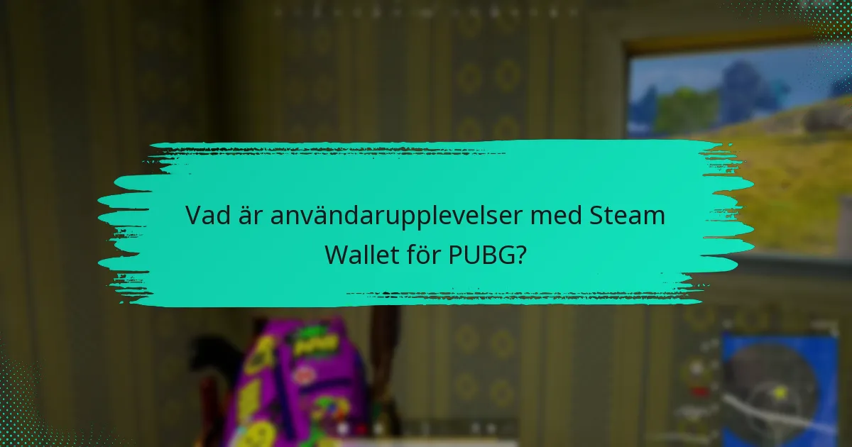 Hur jämför sig Steam Wallet med andra betalningsmetoder för PUBG?