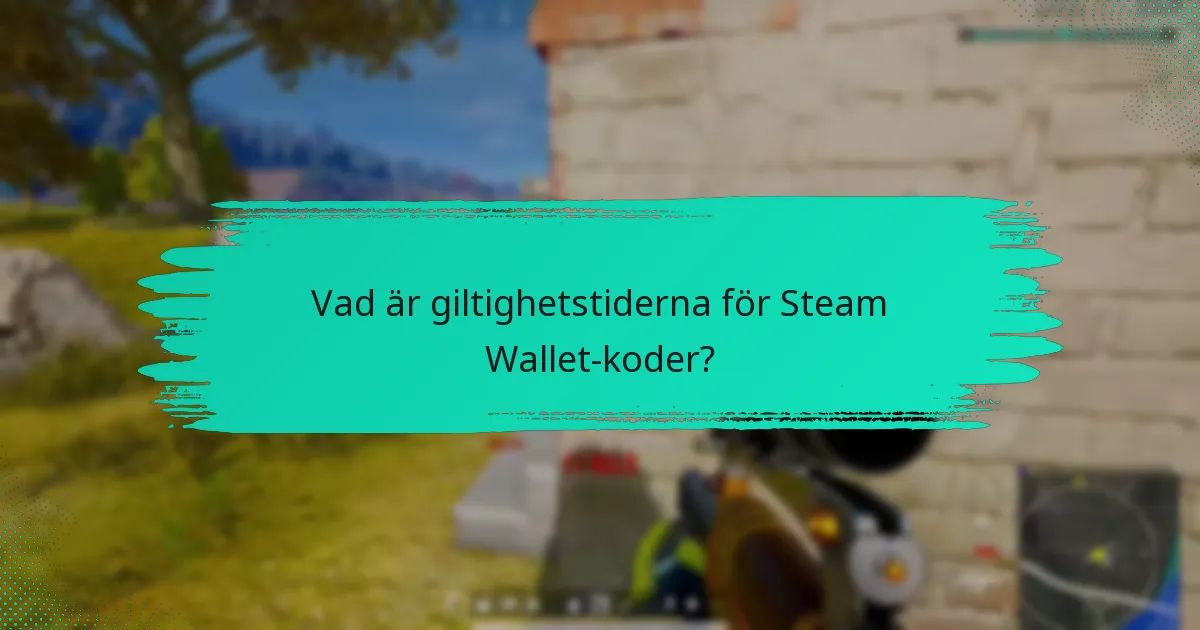 Vilka regionala begränsningar gäller för Steam Wallet-koder?