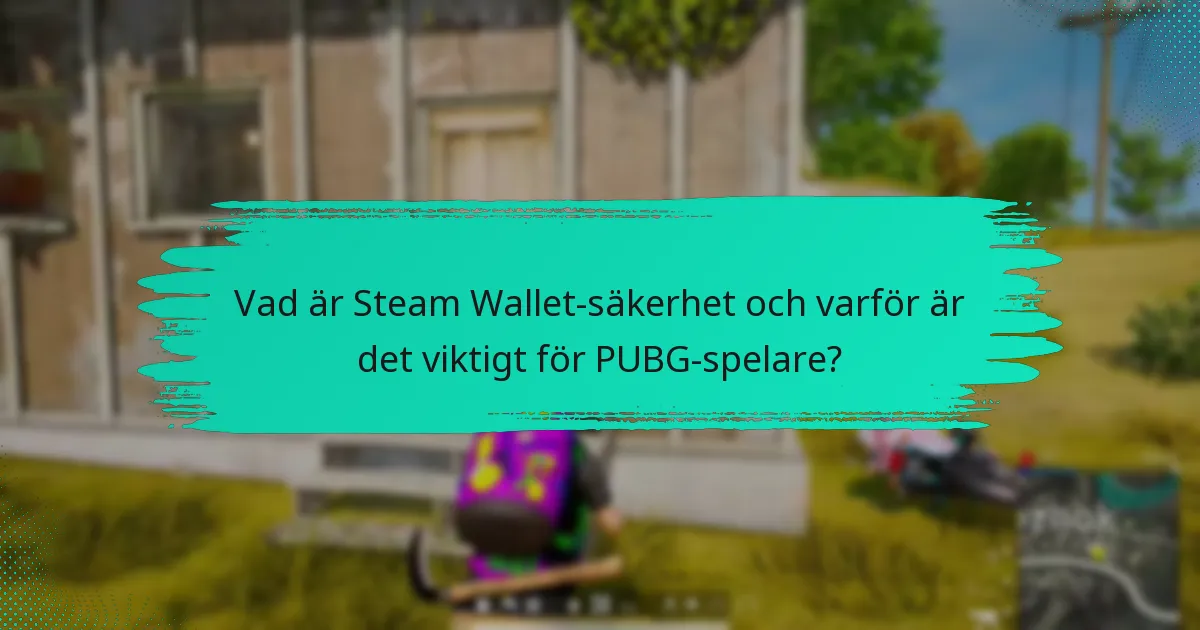 Hur kan jag säkra mitt Steam Wallet-konto för PUBG?