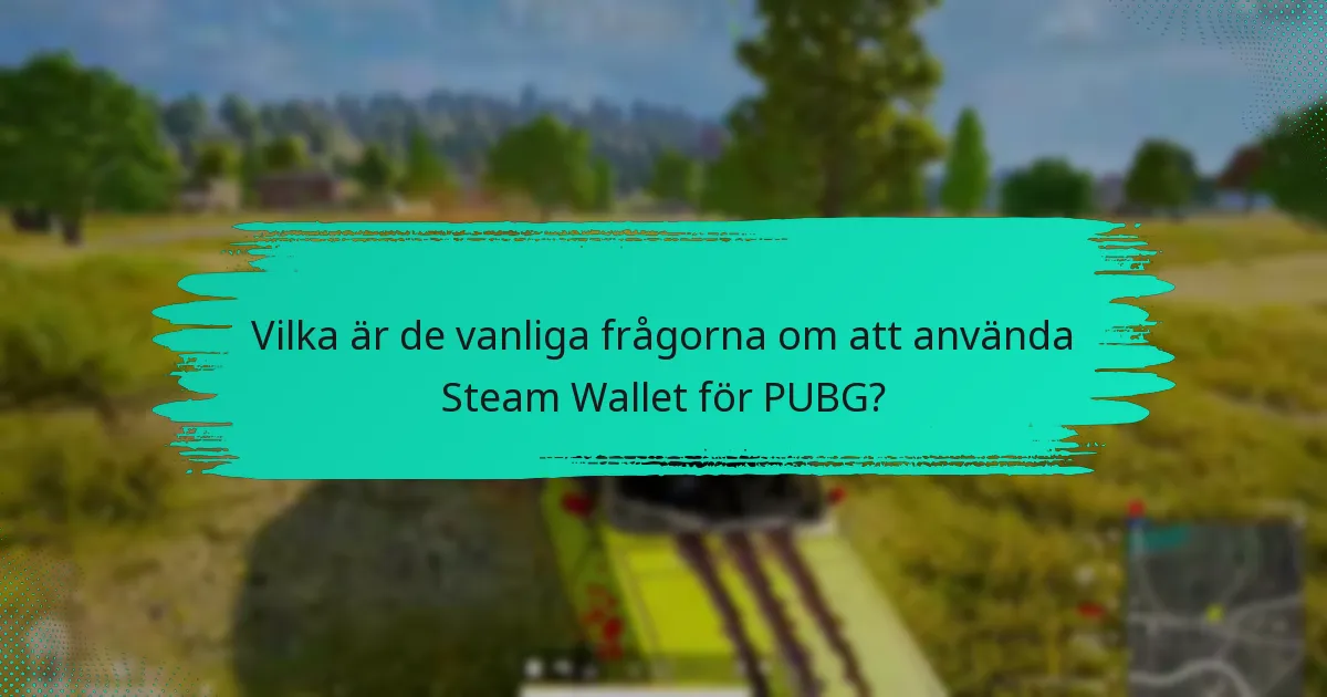 Vilka är policyn angående användning av Steam Wallet för PUBG?
